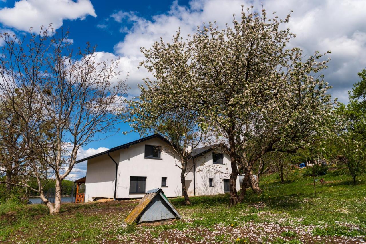 Z Widokiem Na Jezioro Villa Ilawa Exterior photo